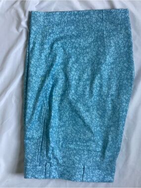 Walter Hagen 11 Majors Men’s Golf Shorts Size 40